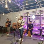 ace unplugged